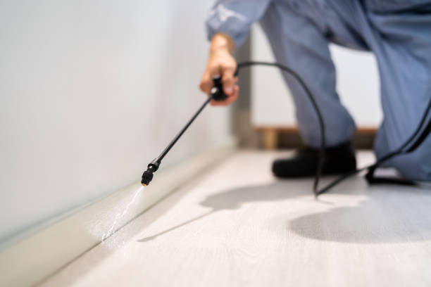 Licensed Termite Control service in Clay County County, SD - Nex Pest Control