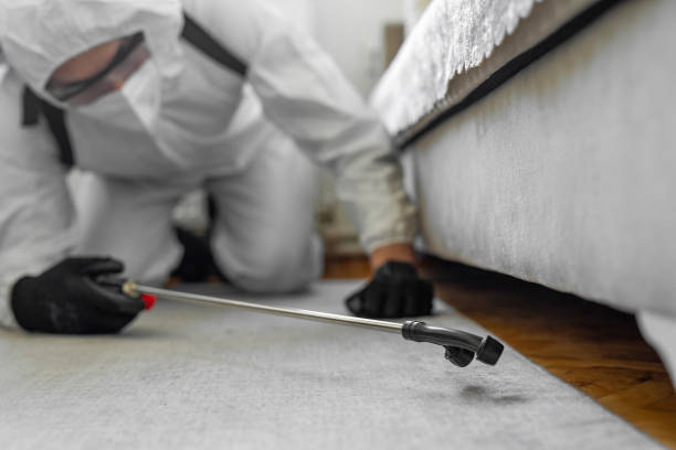 Professional Termite Control technician working in Clay County County, SD